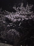image/2011-04-11T00:48:46-1.jpg